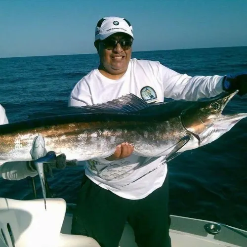 El Auditor y la pesca anticorrupción en aguas profundas
