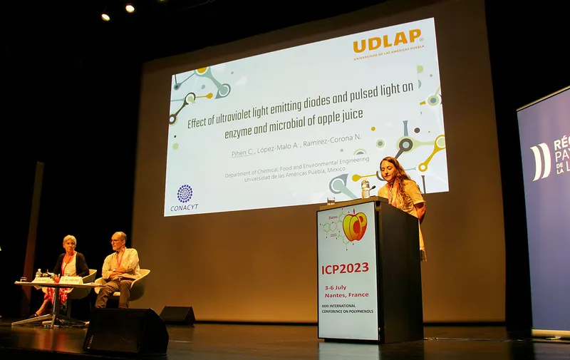 udlap-christelle-pihen-martinez