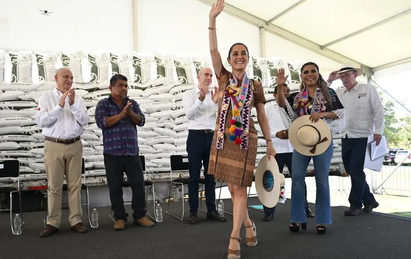 Imagen del artículo