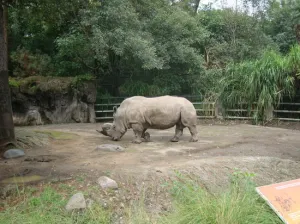 Va PVEM contra delfinarios, zoológicos y tiendas de mascotas