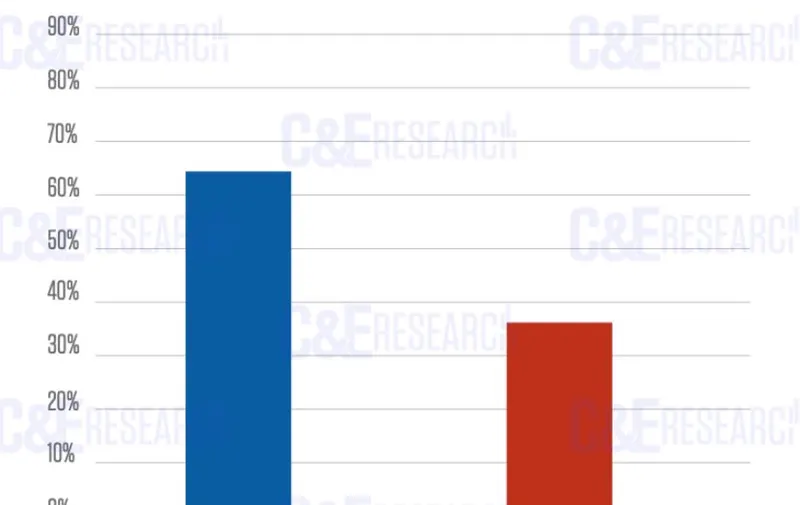 Imagen del artículo