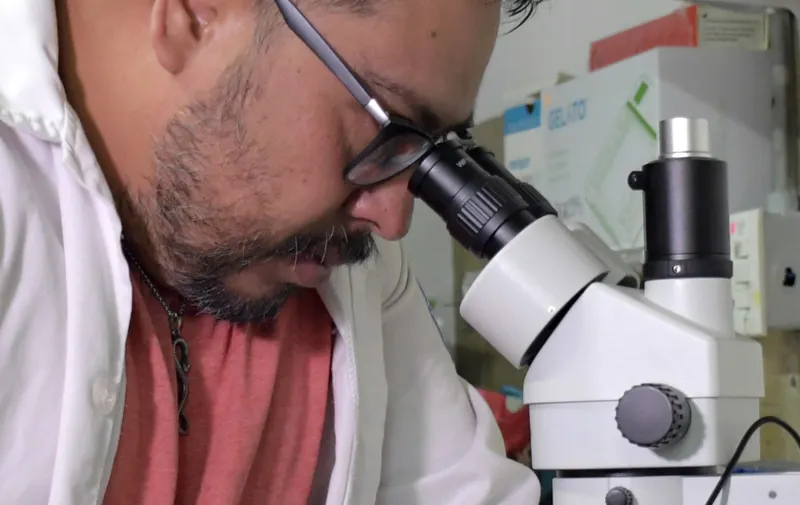 Investigador de la BUAP participa en el descubrimiento de nueva especie y género de serpiente endémica de Puebla
