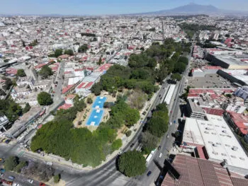 Estudio final sobre cuántos árboles serán afectados por Cablebús, para el 30 o 31 de marzo: García Parra
