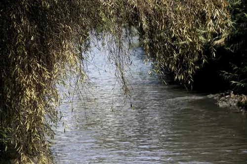 No se ha dado un saneamiento del río Atoyac por falta de voluntad política