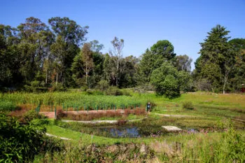 Entrega Ayuntamiento primera etapa de la rehabilitación del Parque del Ajolote, en Santa María Xonacatepec