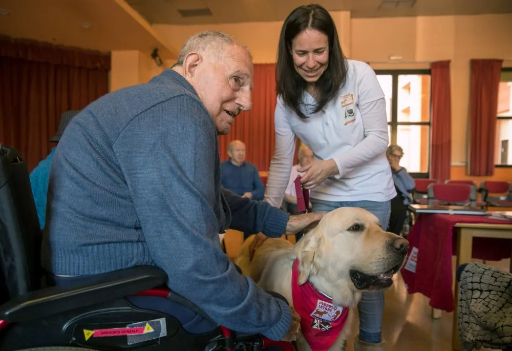 En comisión aprueba exhorto para incluir en programas de Salud la terapia asistida con animales