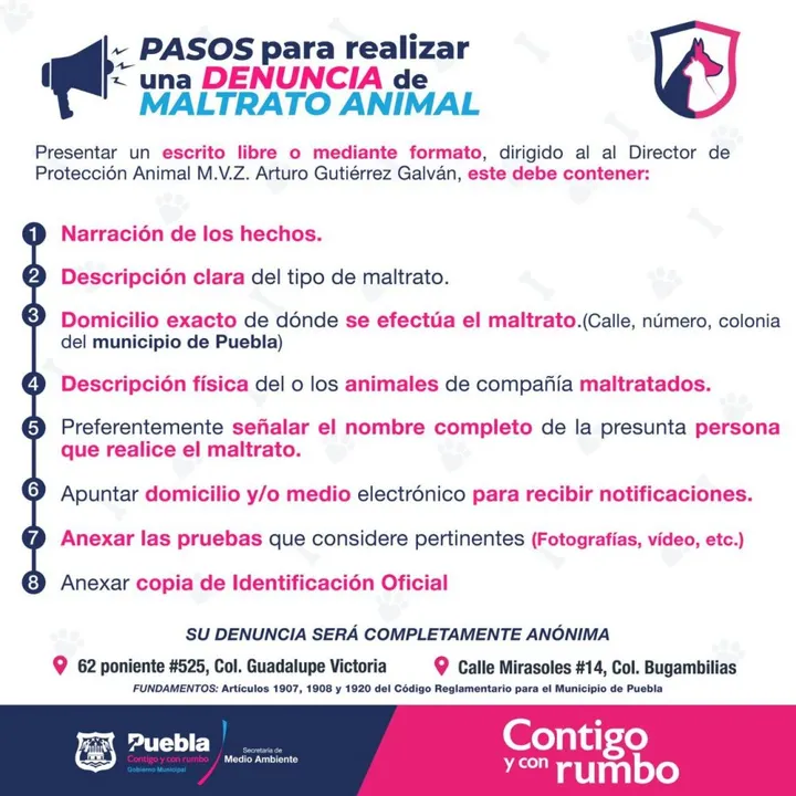 Denuncia el maltrato animal , ayuntamiento de Puebla te dice cómo