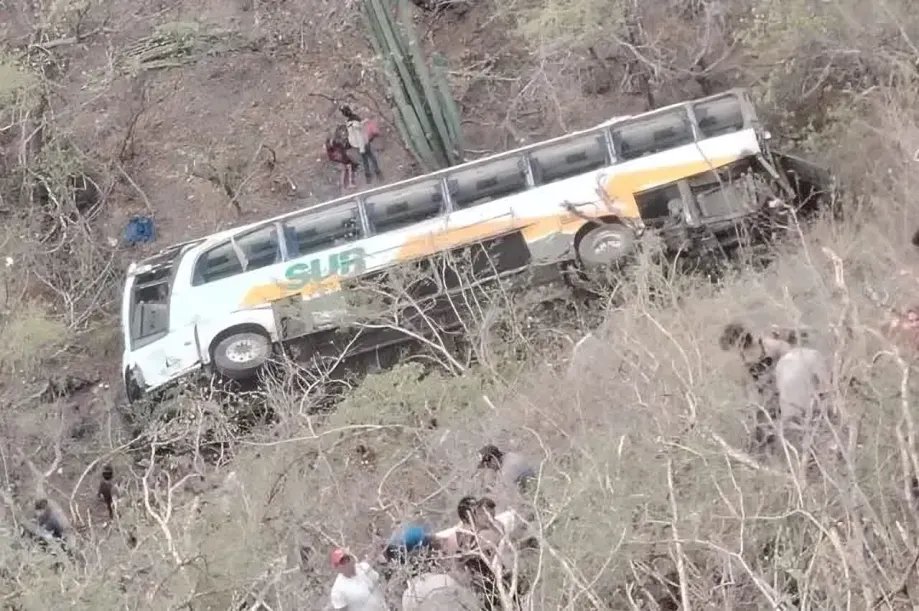 Accidente Tehuitzingo Autobus Linea Sur