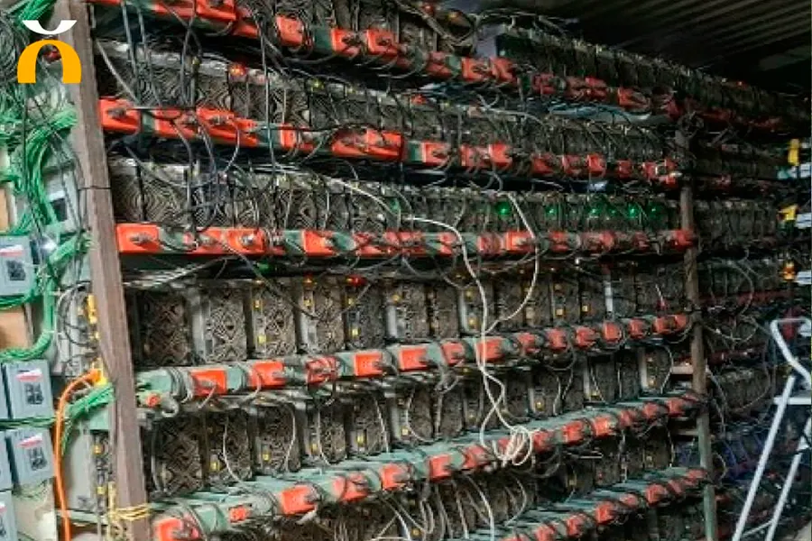 Marina Granjas Criptomonedas Tlaola