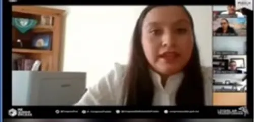 Aprueban reposición de proceso de integración de Consejo Consultivo de CDH