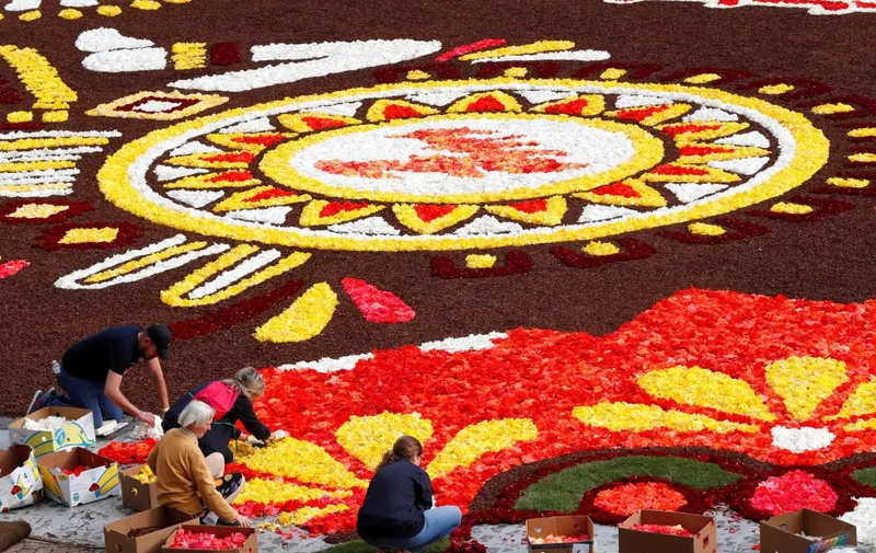 Voluntarios arreglan flores en el tapiz de la Grand Place, en Bruselas.