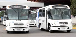 Suman 67 unidades alimentadoras a la RUTA