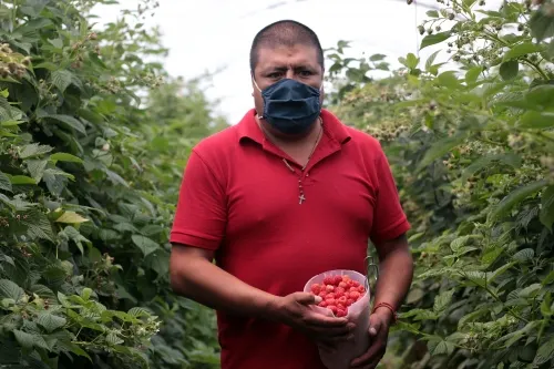 Inicia programa de financiamiento a medianas empresas agroalimentarias