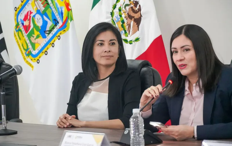 iee-pue-conferencia-perspectiva-de-genero