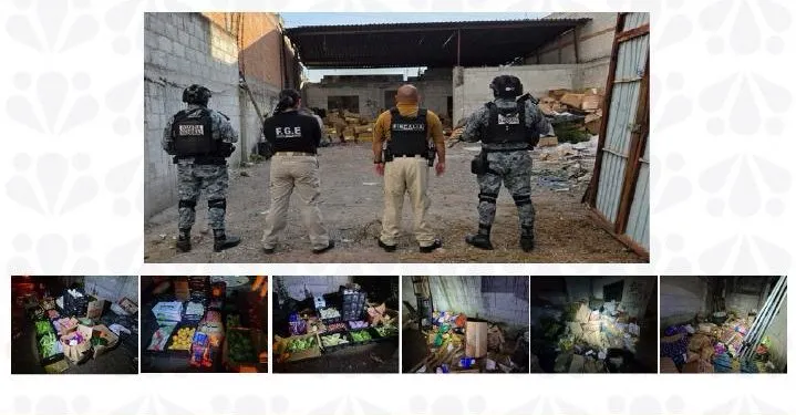 Cateo en Texmelucan