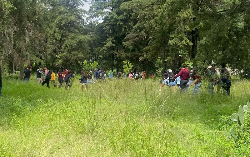 ayto-pue-jornada-reforestacion-bosques-de-amalucan