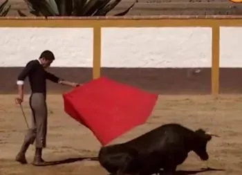 Sacerdote comete delito de maltrato animal en Coahuila