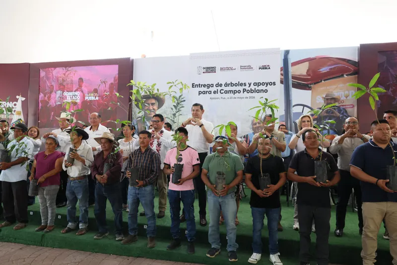 Imagen del artículo