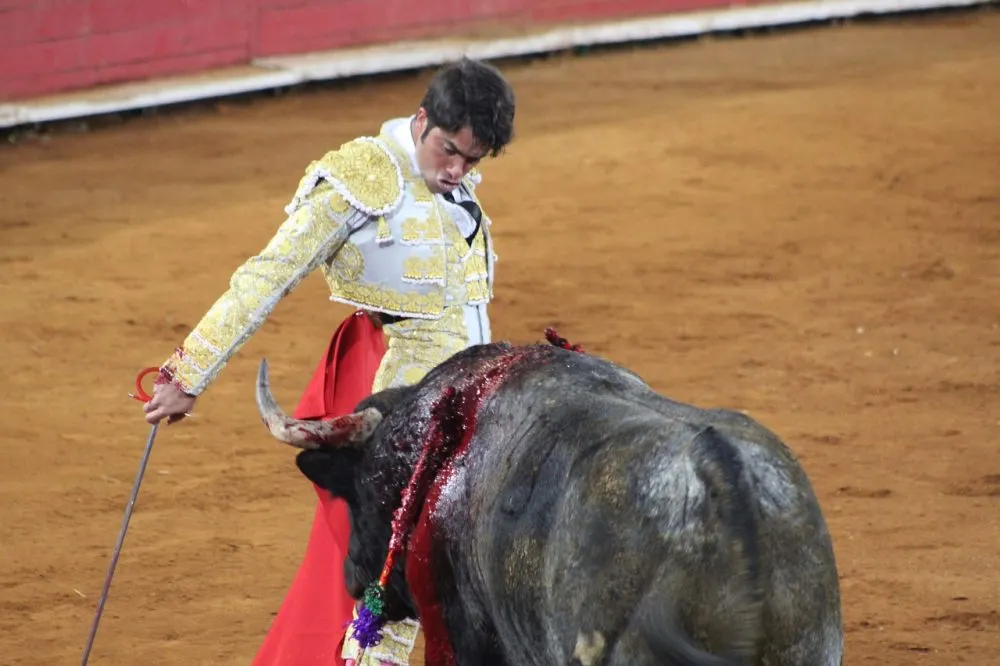 Toros