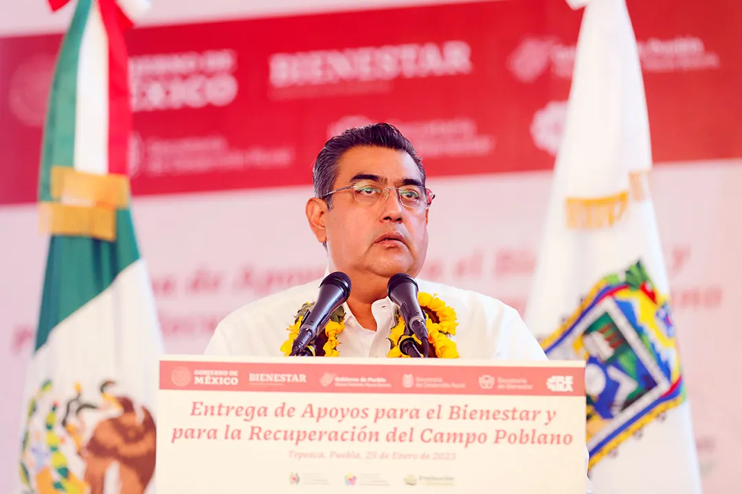 Sergio Salomon Cespedes Peregrina