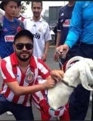 chivas-en-linea-deportiva