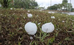 Daña granizada 100 hectáreas de hortalizas