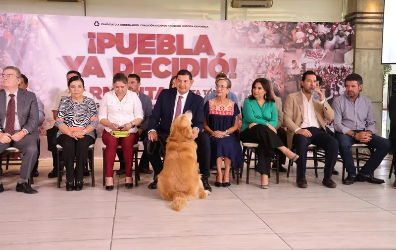 alejandro-armenta-medio-ambiente-animales