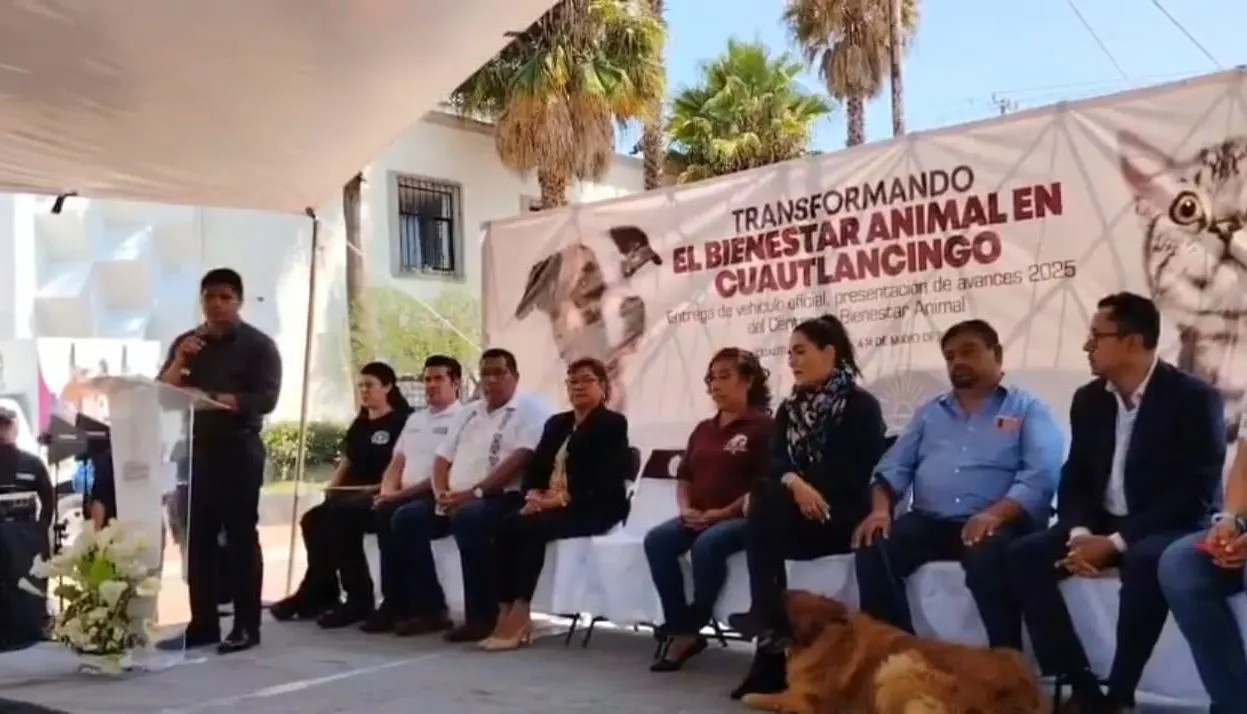 Foto: Captura de pantalla