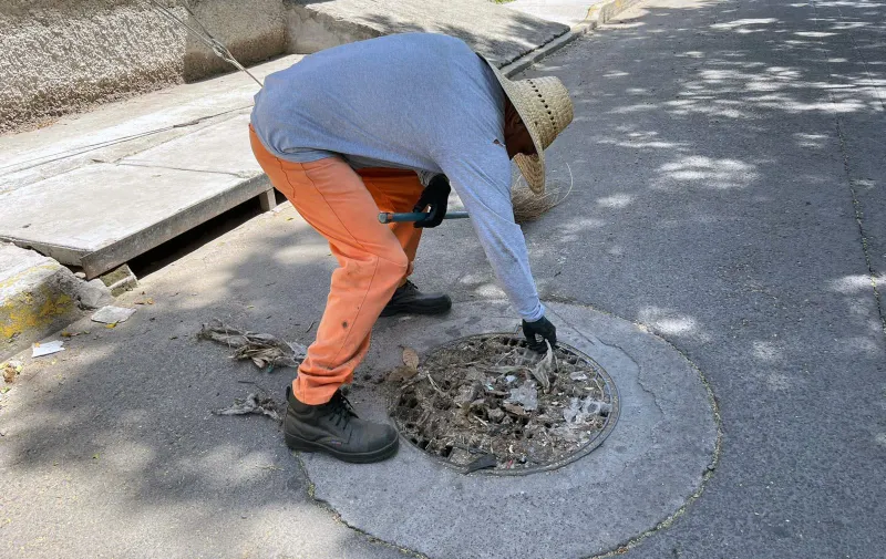 Imagen del artículo