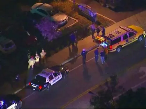Pistolero acribilla a 11 personas y un policía en bar de California