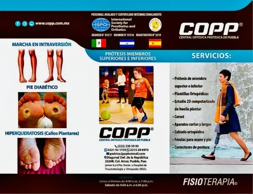 #FuerzaEnLaContingencia: COPP Fisioterapia