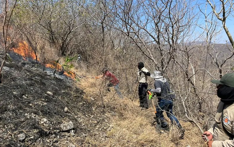 gob-pue-incendio-forestal-jolalpan