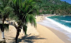 Coronel y Caro, apellidos de ?levantados? en Vallarta