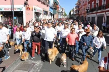 Armenta inició en el Paseo Bravo el Maratón de la Transformación
