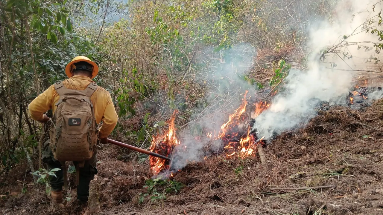 Incendios Forestales Puebla
