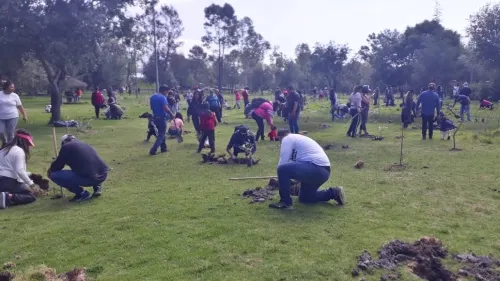Para contribuir al medio ambiente, Agua de Puebla donó 3 mil 780 árboles a la población
