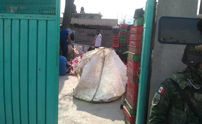 Los Reyes La Paz,