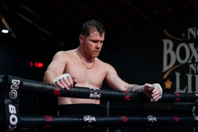 canelo