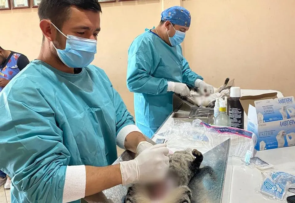 Se realiza con éxito la Primera Jornada de Esterilización Gratuita en Texmelucan