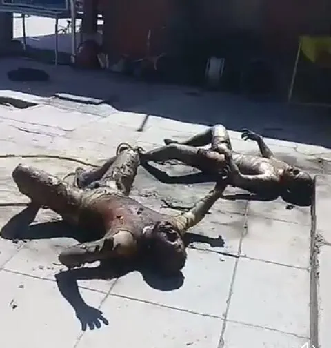 Imagen del artículo