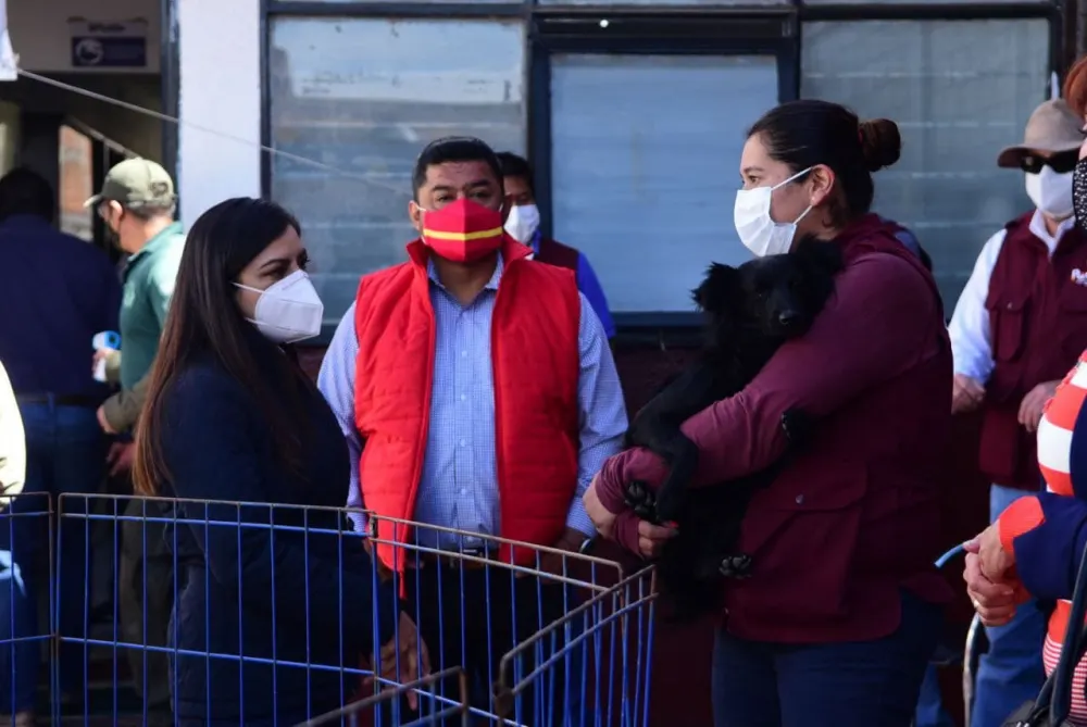 Ayuntamiento de Puebla mejorará la capacidad y condición de atención para las pequeñas especies
