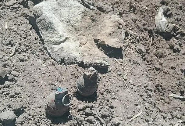 Localizan artefactos explosivos en la Puebla–Tehuacán; activan operativo en Amozoc