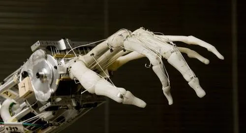 Este robot japonés va al gimnasio y suda como un campeón