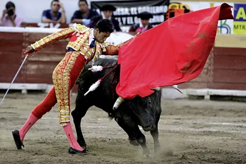 Presentarán reforma para prohibir corridas de toros y peleas de gallos