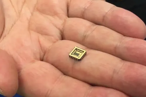 Desarrollan la primera neurona artificial en forma de chip