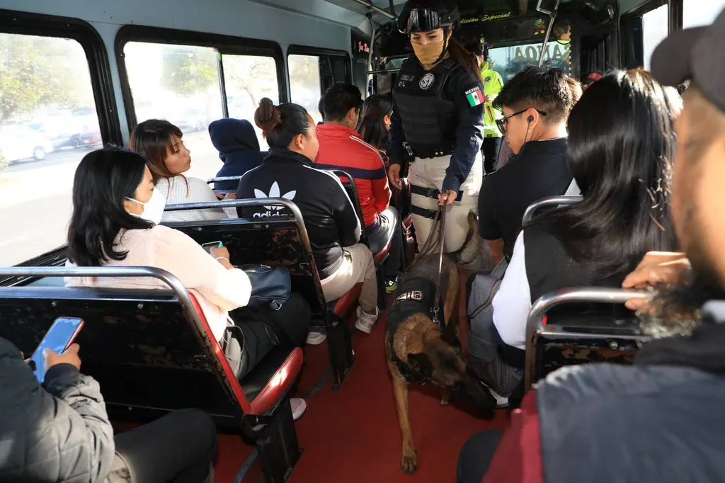 Transporte público operativos