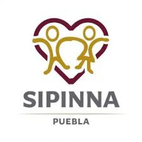 Titular de SIPINNA debe cumplir con principios de participación ciudadana y transparencia