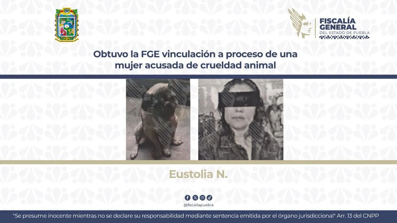 Crueldad animal