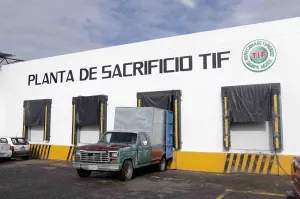 Rastro y Salud instalarán cercos sanitarios contra carne contaminada