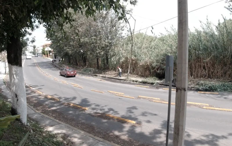 Imagen del artículo